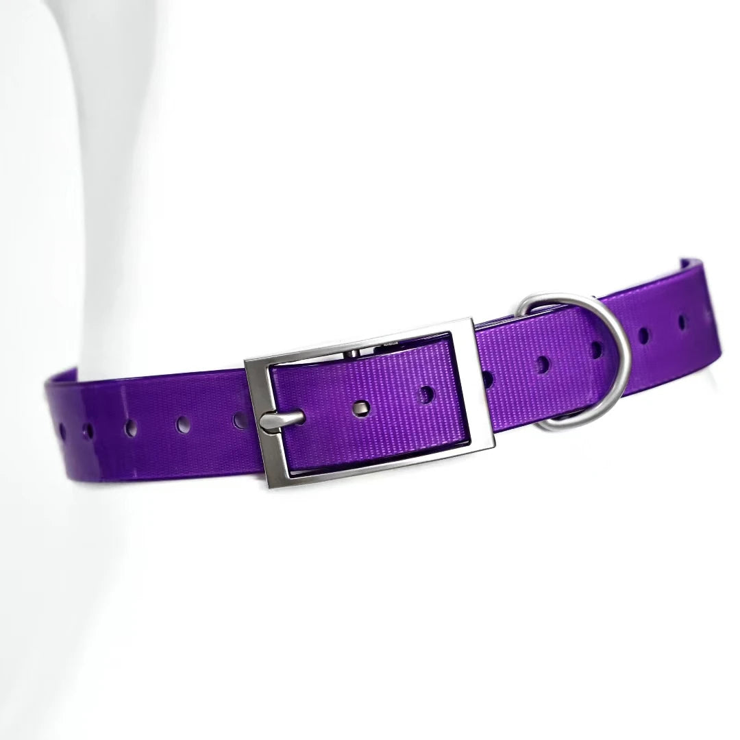 Heavy Duty Waterproof TPU Dog Collar