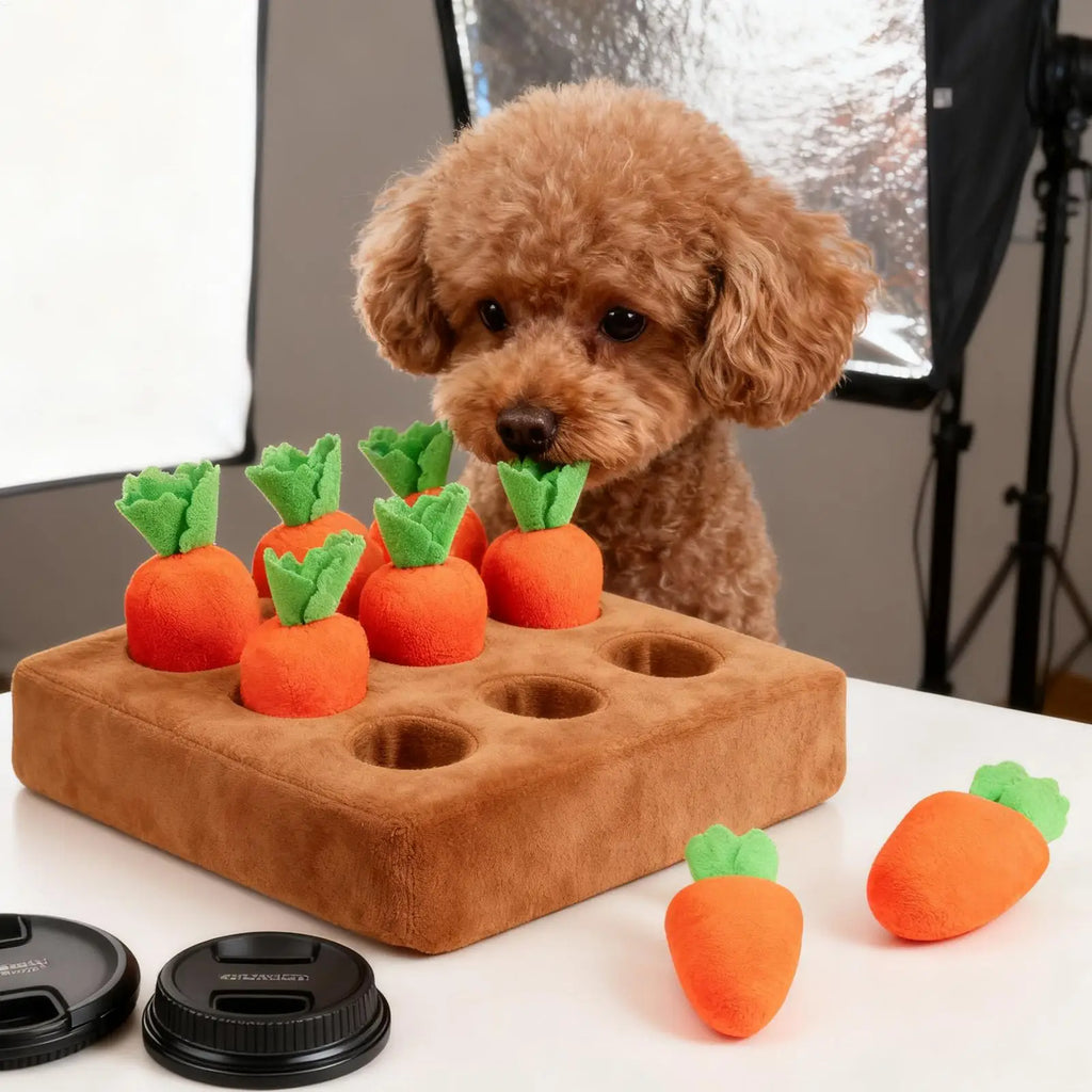 Dog Snuffle Mat with Carrot Puzzle Toy