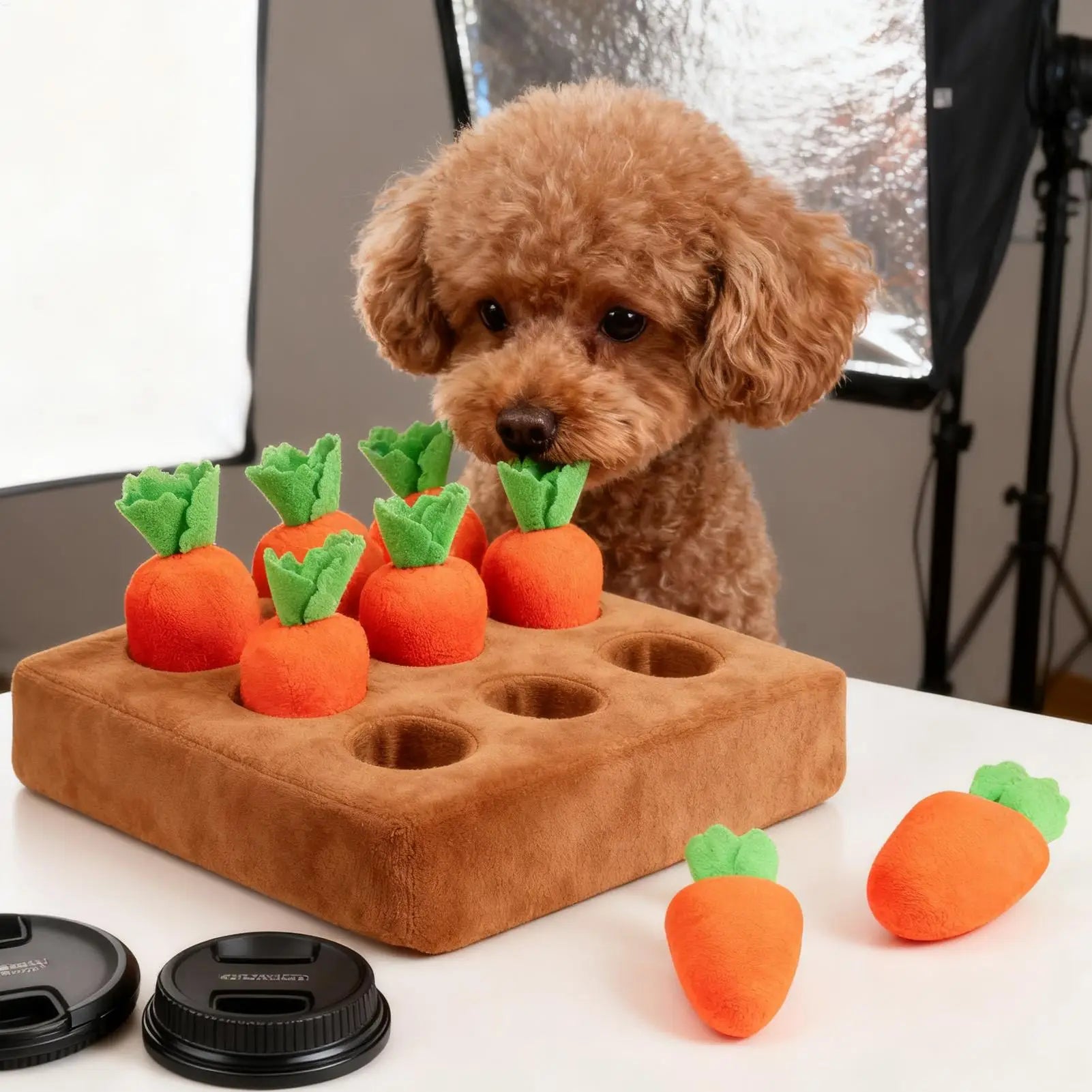 Dog Snuffle Mat with Carrot Puzzle Toy