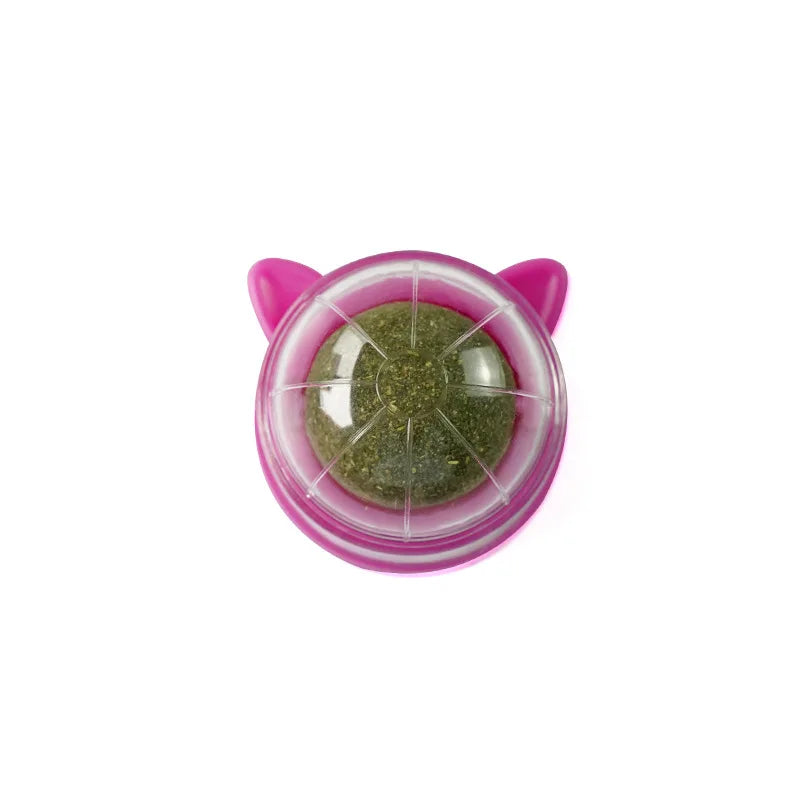 Catnip Wall Ball Toy