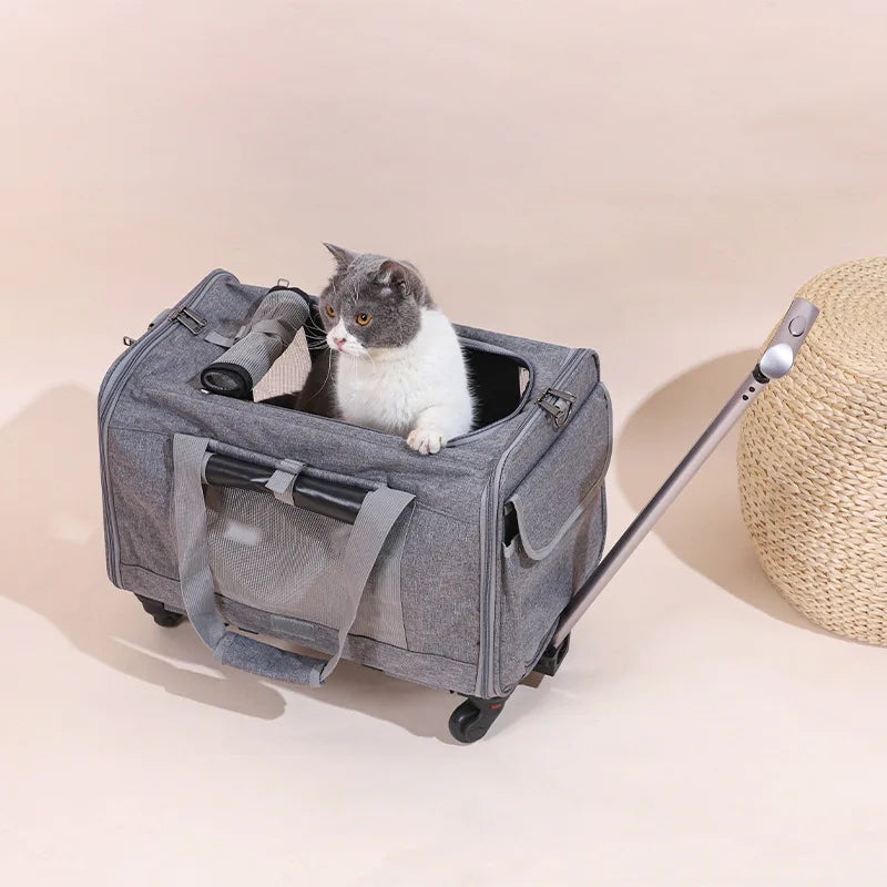 Rolling Pet Carrier with Wheels
