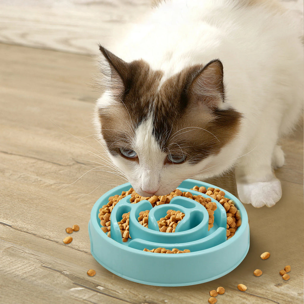 Slow Feeder Bowl for Cats & Dogs