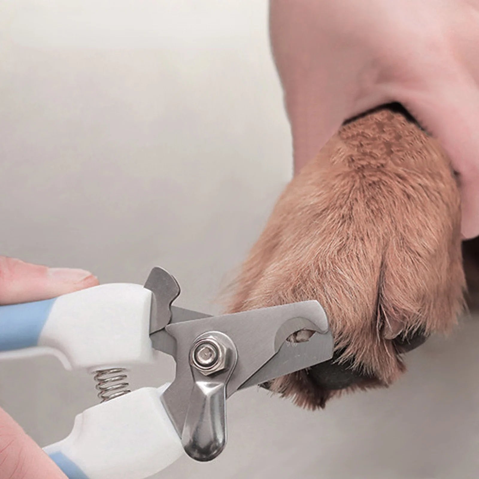 Spring-Loaded Pet Nail Clippers