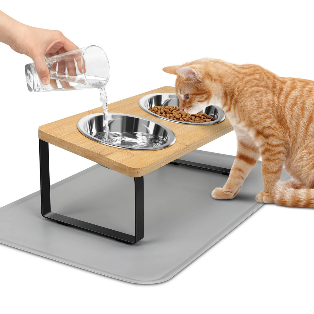 Elevated Bowls with Non-Slip Food Mat
