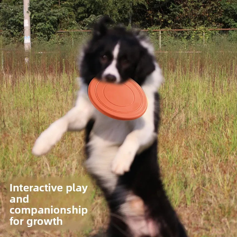 Soft Dog Frisbee