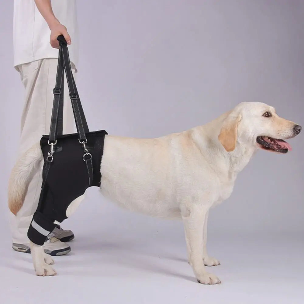 Dog Rear Leg & Hip Support Lift Harness