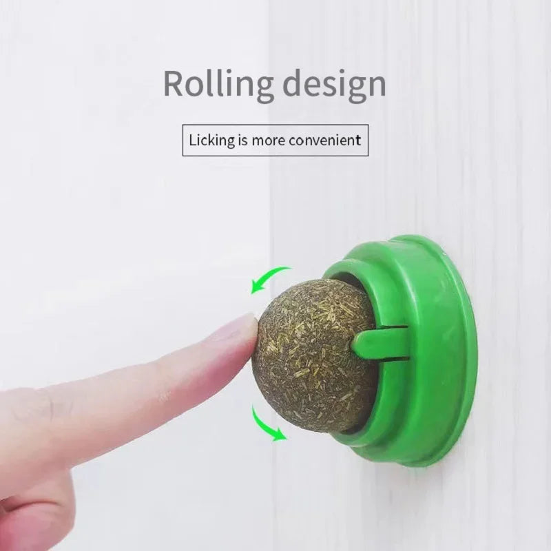 Catnip Wall Ball Toy