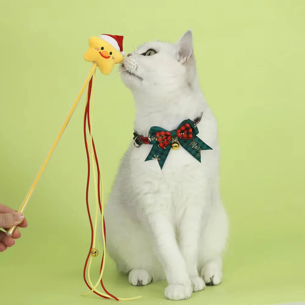 Christmas Bell Collar for Cats & Dogs
