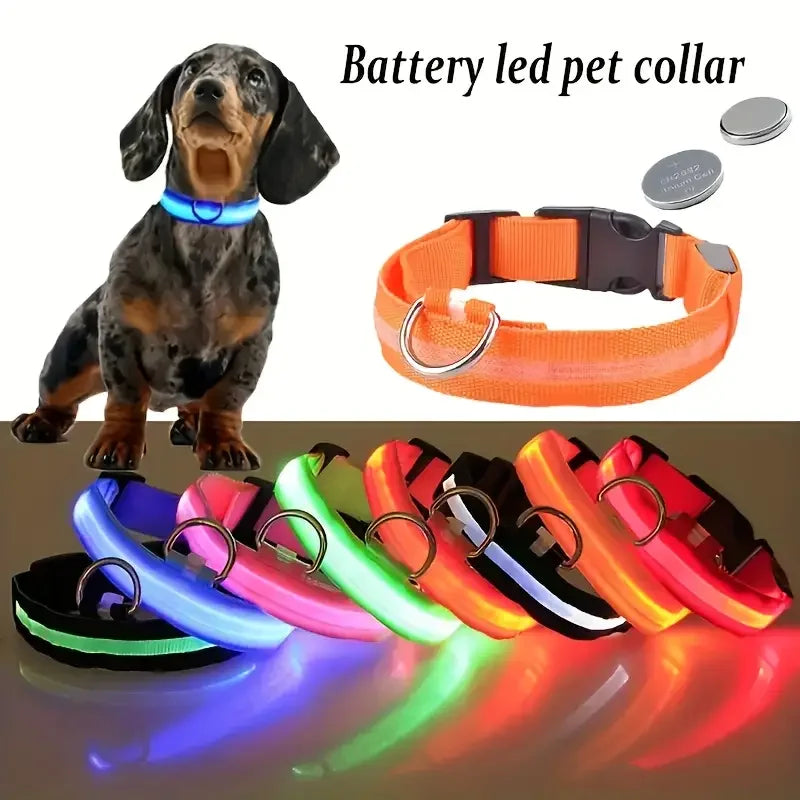 LED Safety Dog Collar
