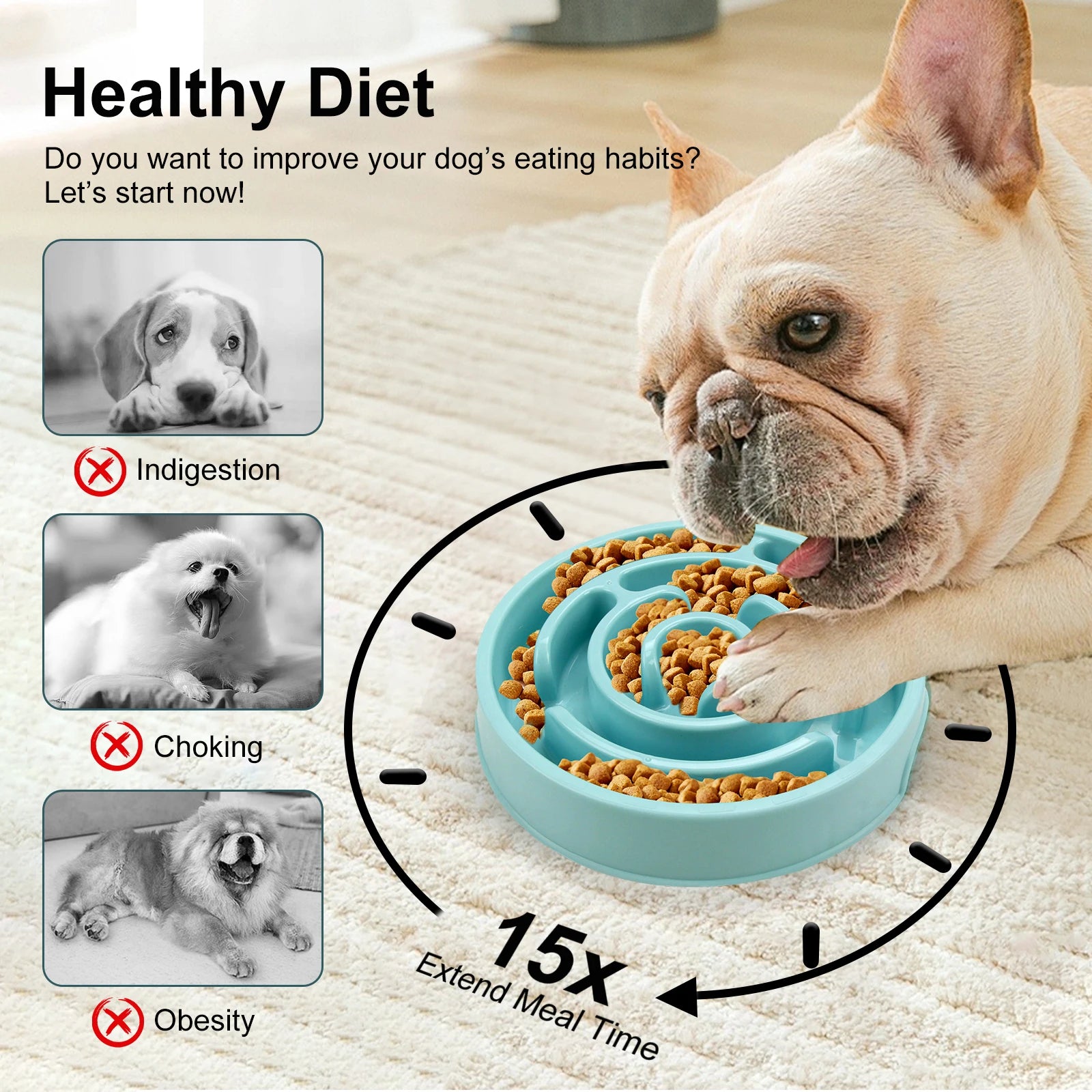 Slow Feeder Bowl for Cats & Dogs