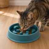 A brown tabby cat eating from a teal blue high-sided slow feeder pet bowl on a light wood floor.