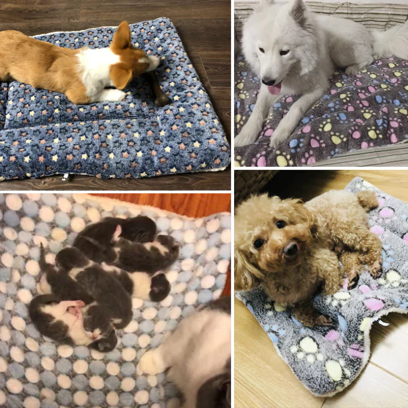 Various sizes and breeds using the Soft Blanket 