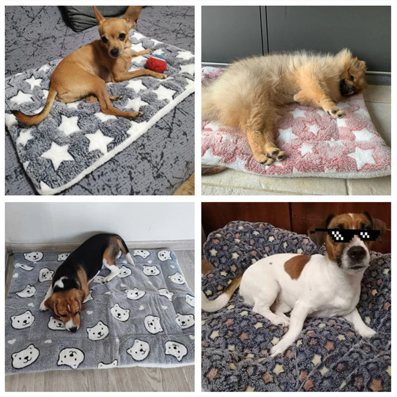 Various sizes and breeds using the Soft Blanket 