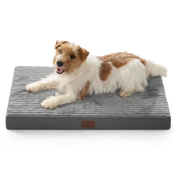 Orthopedic Dog Bed with Washable Cover