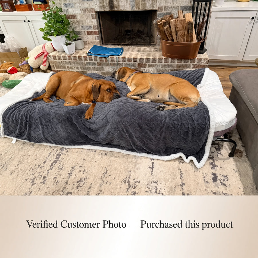 Two dogs lying on a large pet lounger with a dark gray plush weight anxiety blanket and white trim in a living room. A text banner at the bottom reads 'Verified Customer Photo — Purchased this product'.