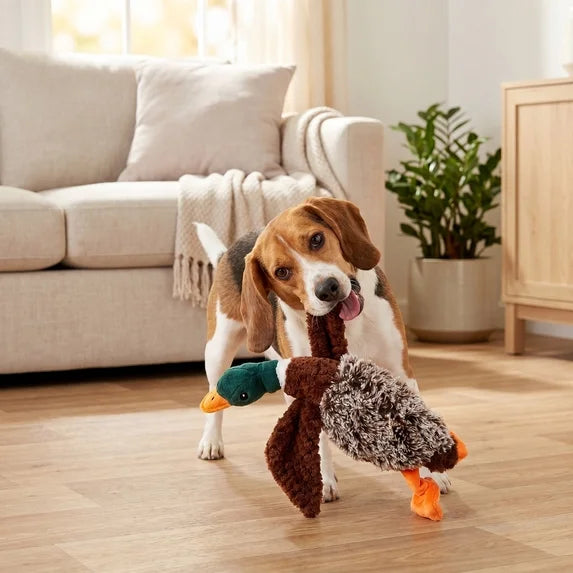 Duck Plush Dog Toy with Honking Squeaker