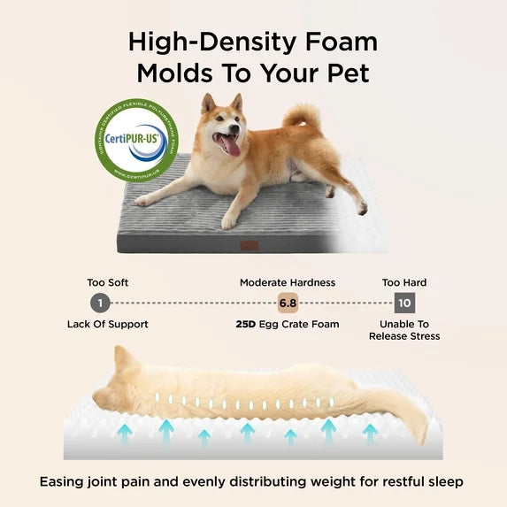 Orthopedic Dog Bed with Washable Cover