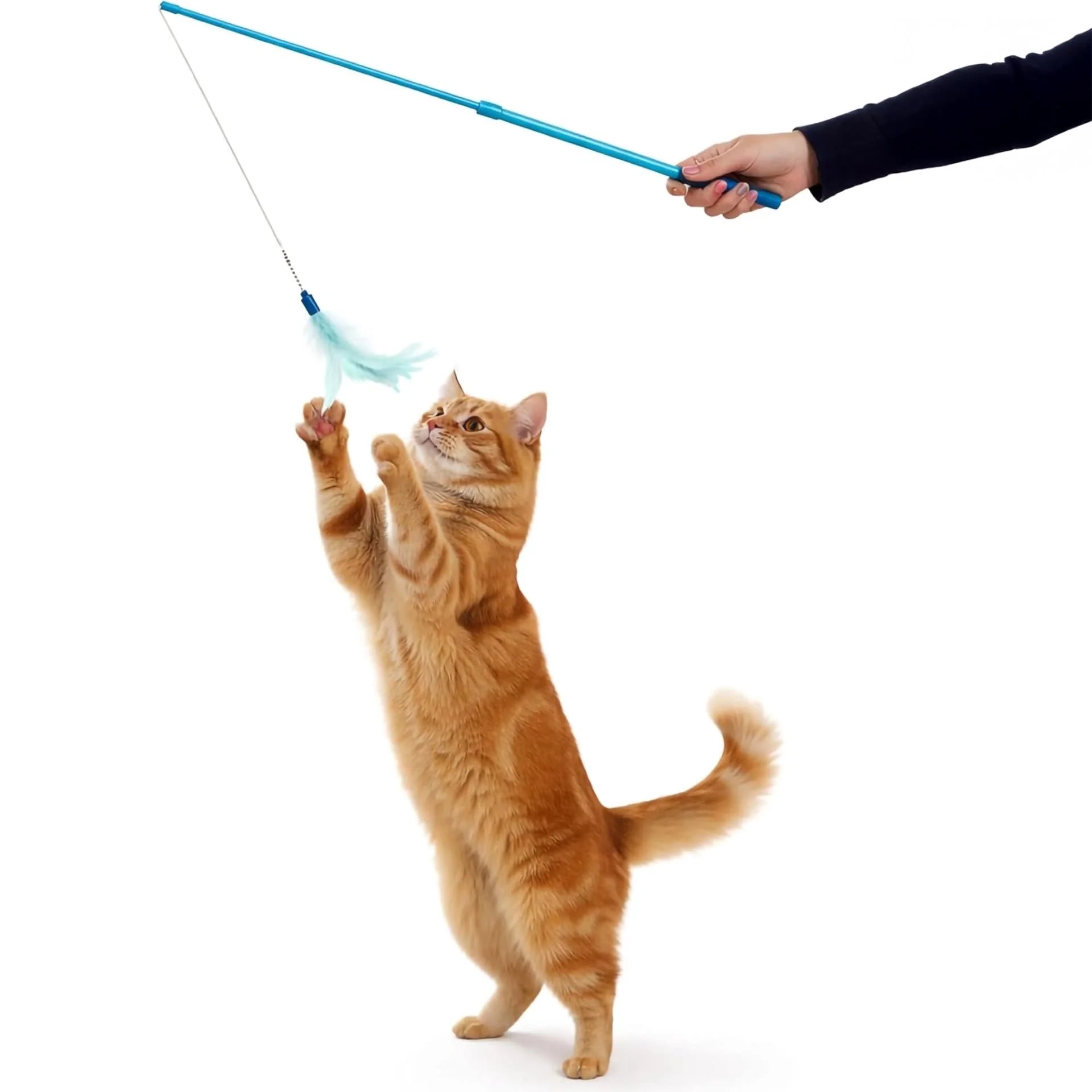 Frisky Flyer, Interactive Cat Toy, Extendable and Retractable Wand with Feathers