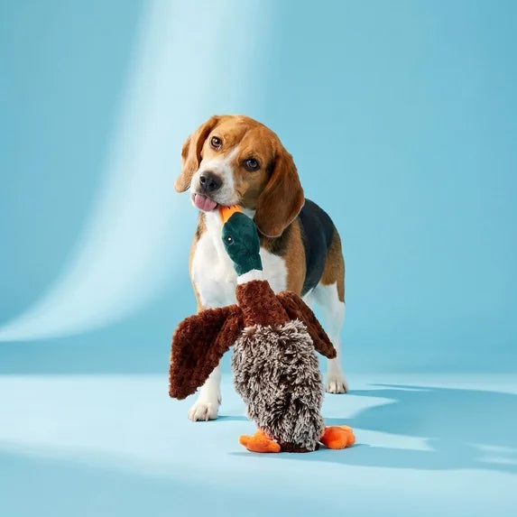 Duck Plush Dog Toy with Honking Squeaker