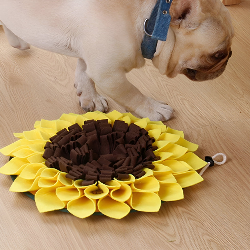 Adorable Feeding Mat Snuffle Mat for Pet Dog with Non Slip and Machine Washable Snuffle Mat for Large Dogs 38X38In