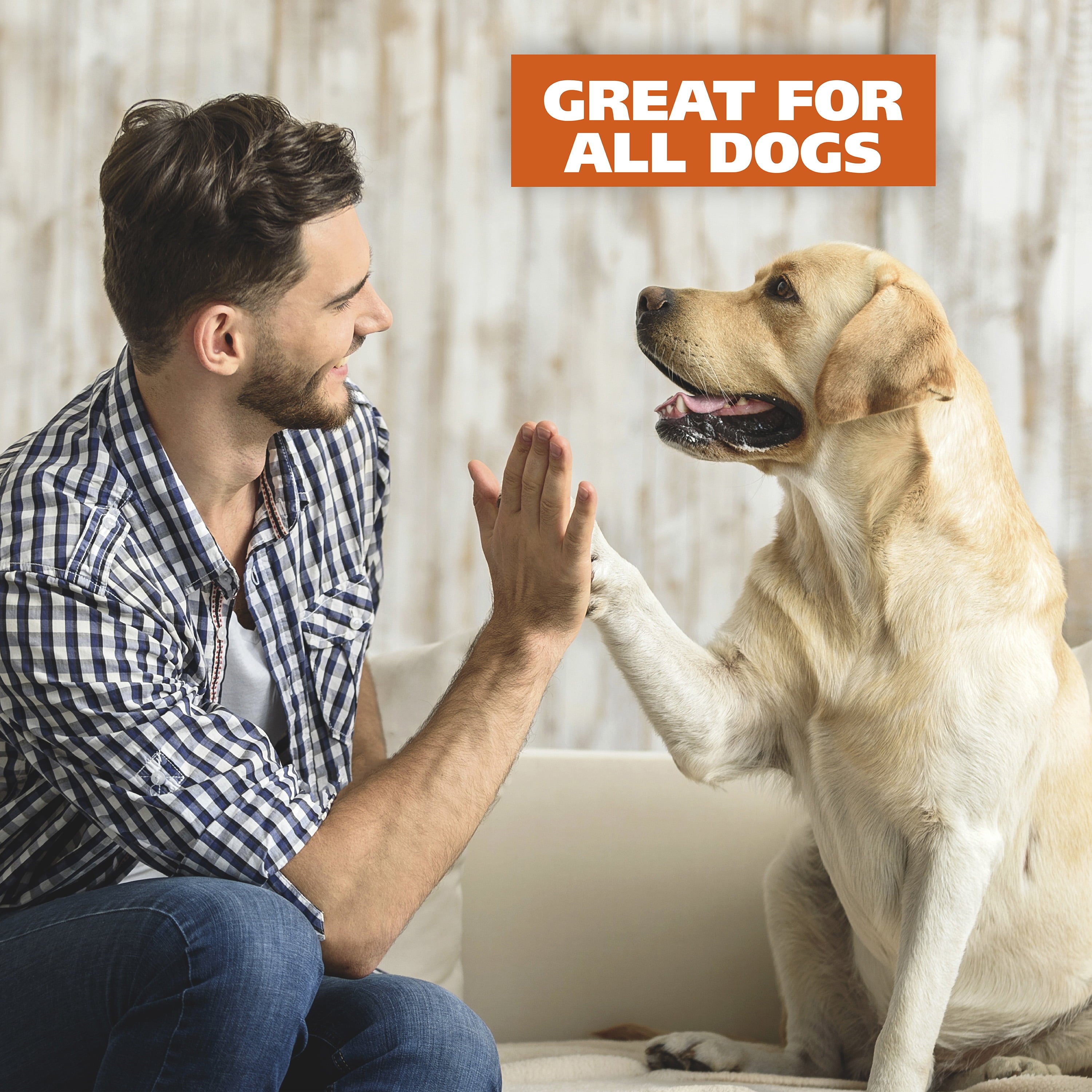 2 Speed Battery Dog Nail Grinder - Orange/Black 5974
