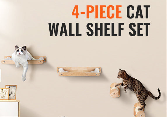 Wall Mounted Cat Shelves