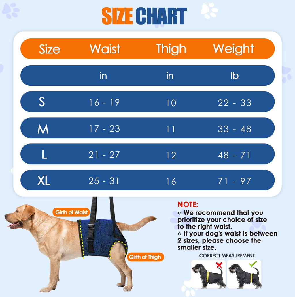 Dog Lift Harness - Hind Leg Support for Medium and Large Dogs, Adjustable Lift Aid for Elderly, Injured, or Arthritic Pets Recovering from Surgery or Mobility Issues