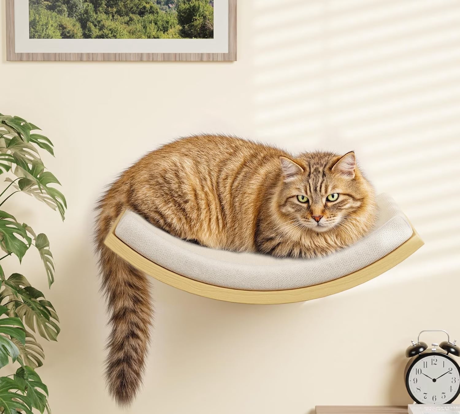 Wall-Mounted Cat Furniture Set, Wooden Climbing Shelves with 2 Steps, Curved Perch and Foam Pad