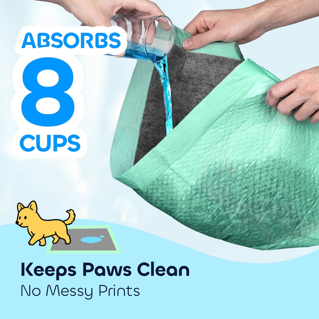 Disposable Pee Pads for Training & Senior Dogs