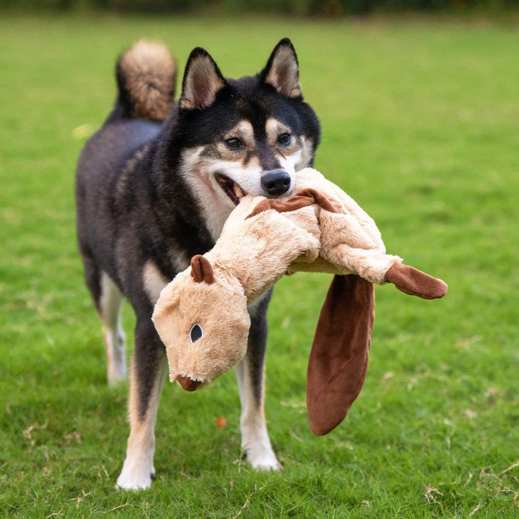 Dog Squeaky Chew Toys Fun Skin,Plush,Log, Small, 4 in 1