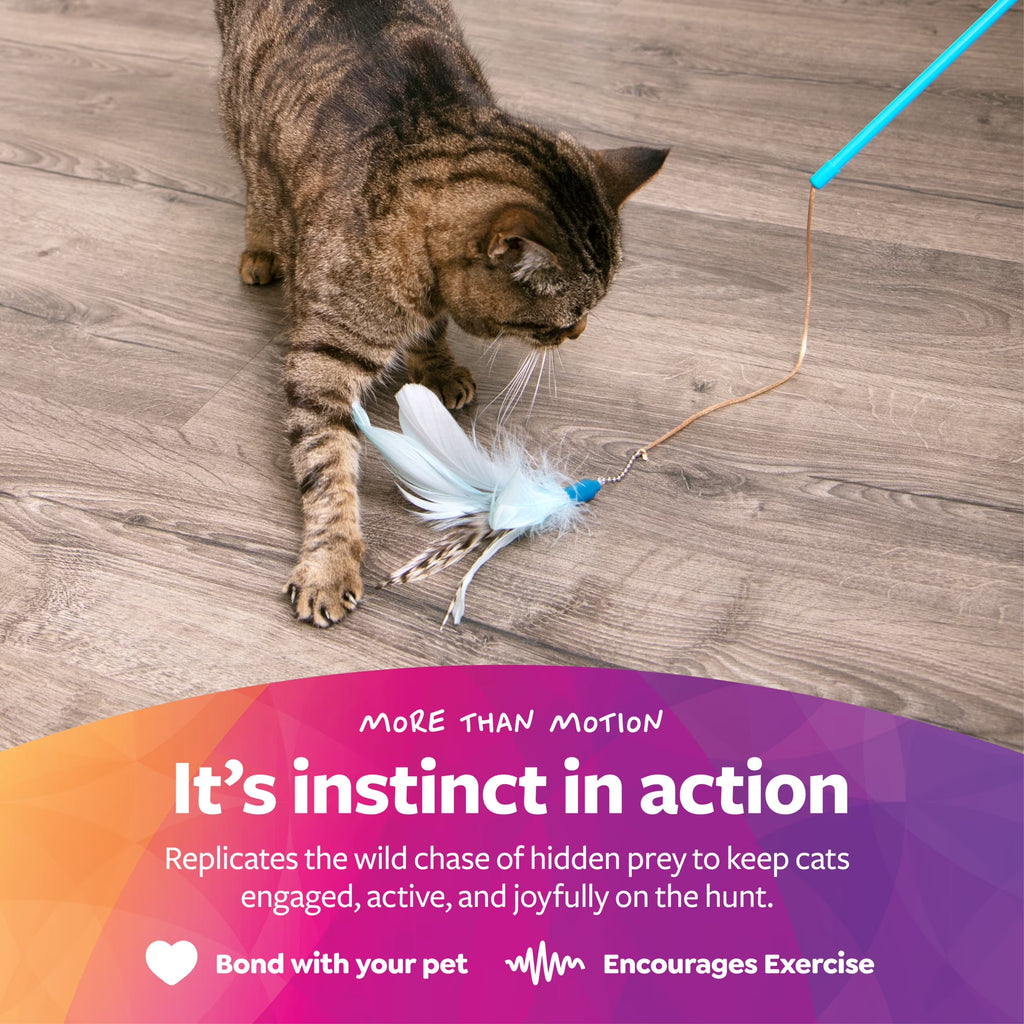 Frisky Flyer, Interactive Cat Toy, Extendable and Retractable Wand with Feathers