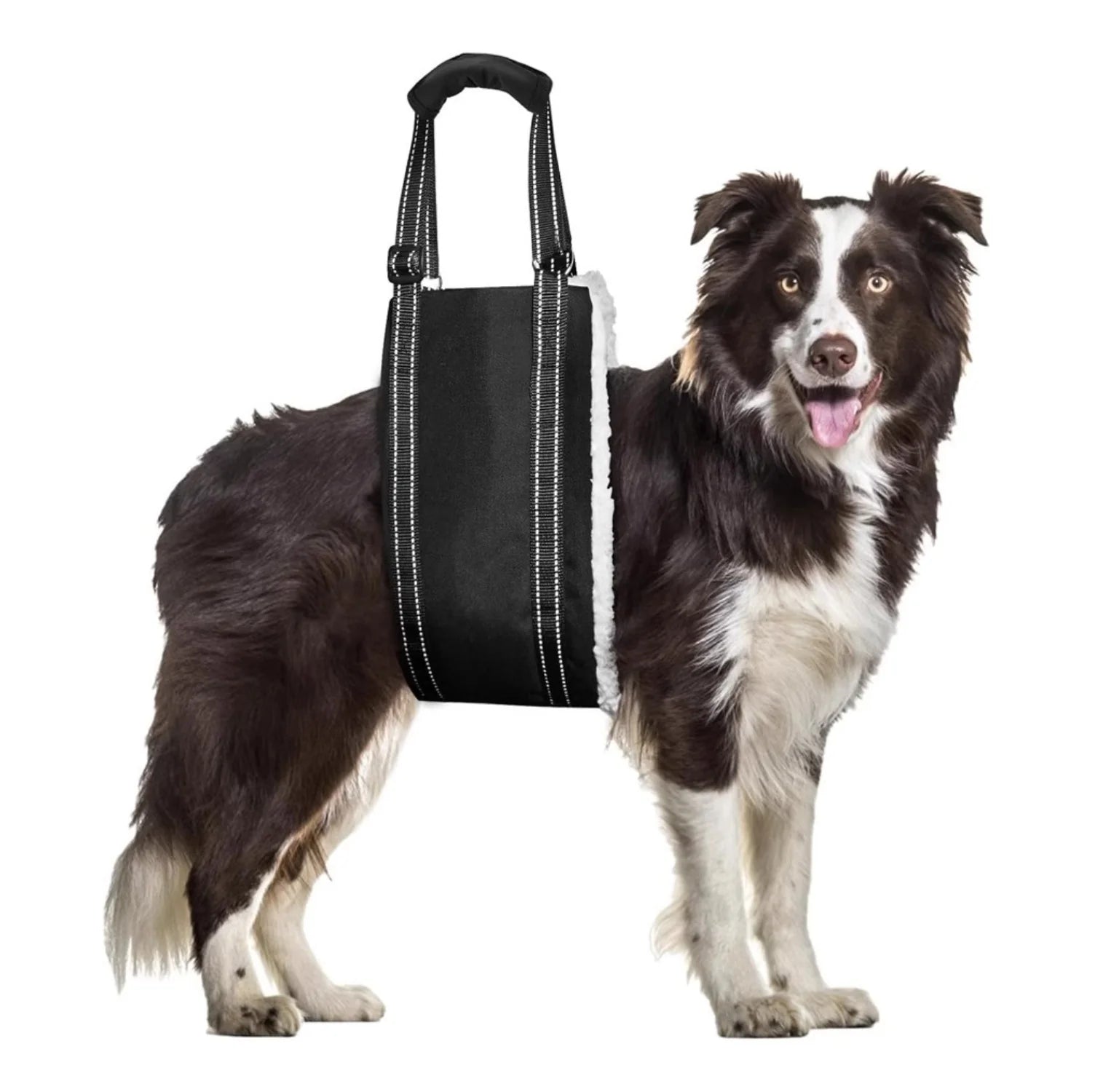 Dog Mobility Support Sling