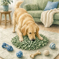 Daily Enrichment Ideas That Lower Overall Anxiety in Dogs