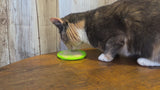 Enriching Round Lick Mat